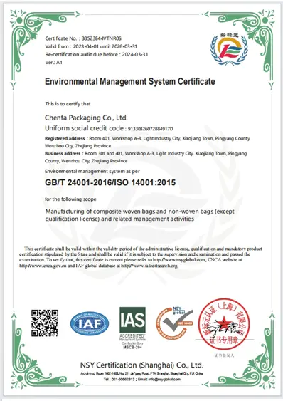 environmental management system certificate