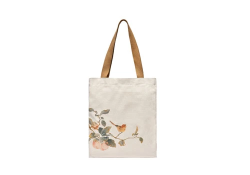 beige canvas shoulder bag