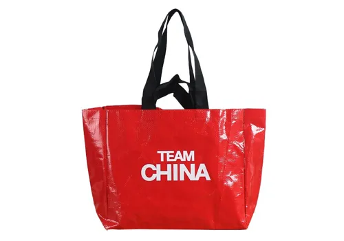 Eco Reusable Custom Waterproof Double Handle PP Woven Shopping Bag