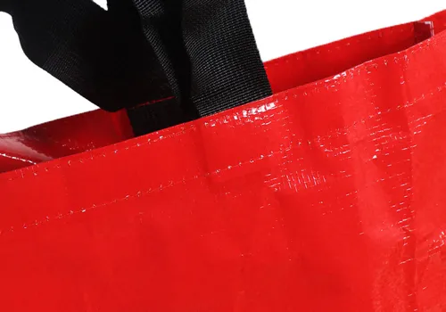 Eco Reusable Custom Waterproof Double Handle PP Woven Shopping Bag