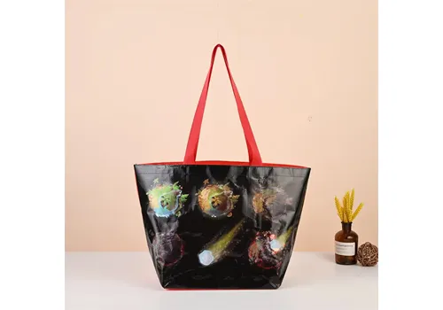 Custom Eco PP Woven Reusable Shopping Bag for Convenience Store