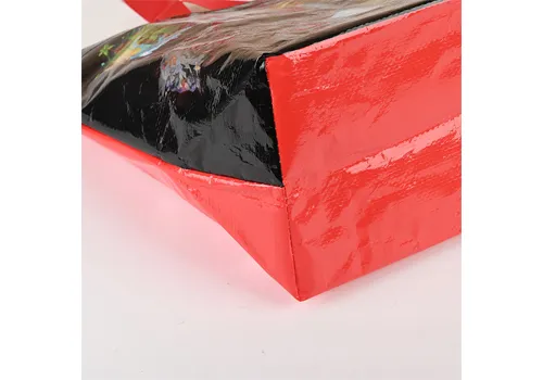 Custom Eco PP Woven Reusable Shopping Bag for Convenience Store