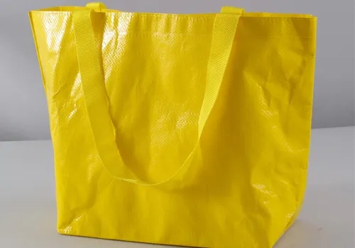 Custom Logo Laminated PP Woven Eco Waterproof Recyclable Shopping Tote