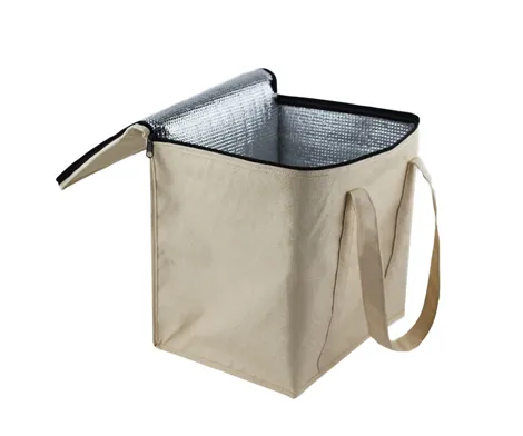 Custom Canvas Insulated Cooler Bag