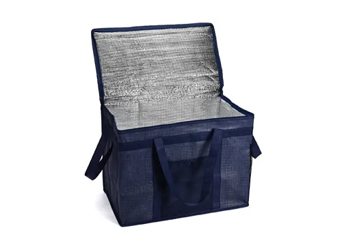 custom pp non woven cooler bag company