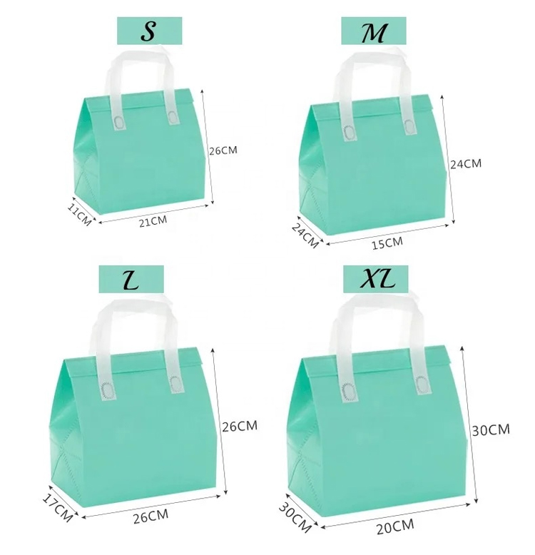 Reusable Food Insulated Bag Custom Logo Non-woven Lunch Cooler Bag